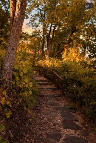 $2,500,000 | 24105 Hazel Wood Drive, Park Rapids, MN 56470