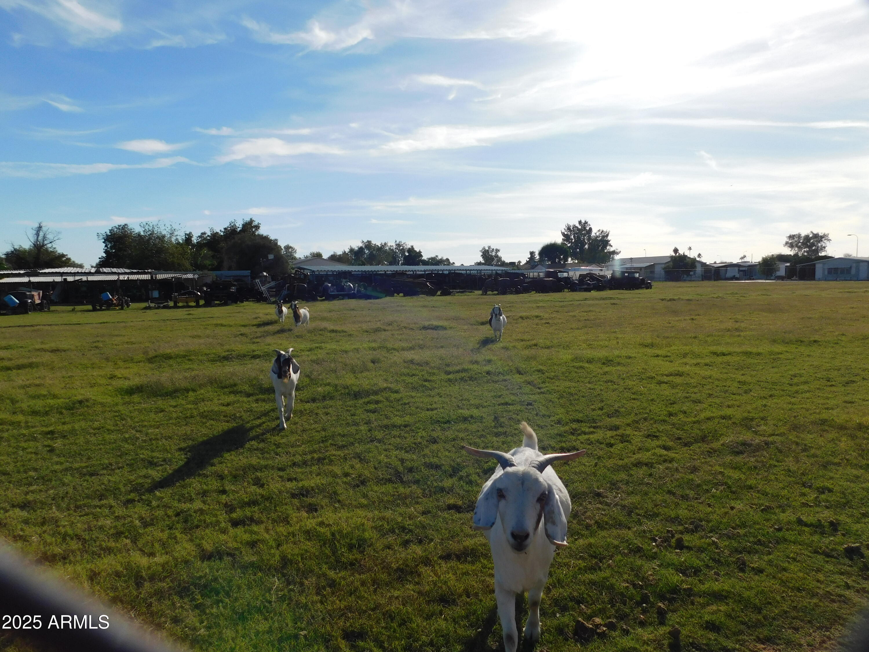 15802 South Gilbert Road, Unit 58 Chandler, AZ 85225 - Photo 18 of 21 a ocean view with a lake view