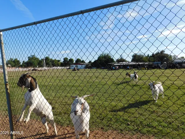 a view of a house with a yard and garage