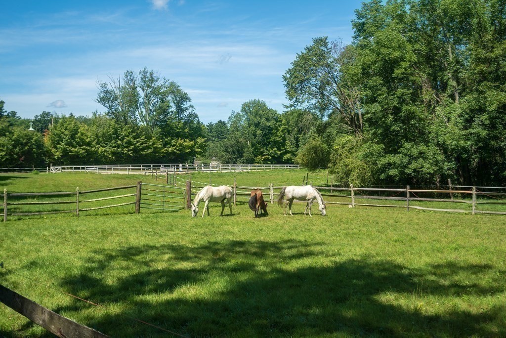 130 Farm Street Dover, MA 02030 - Photo 27 of 39 a view of a park with large trees
