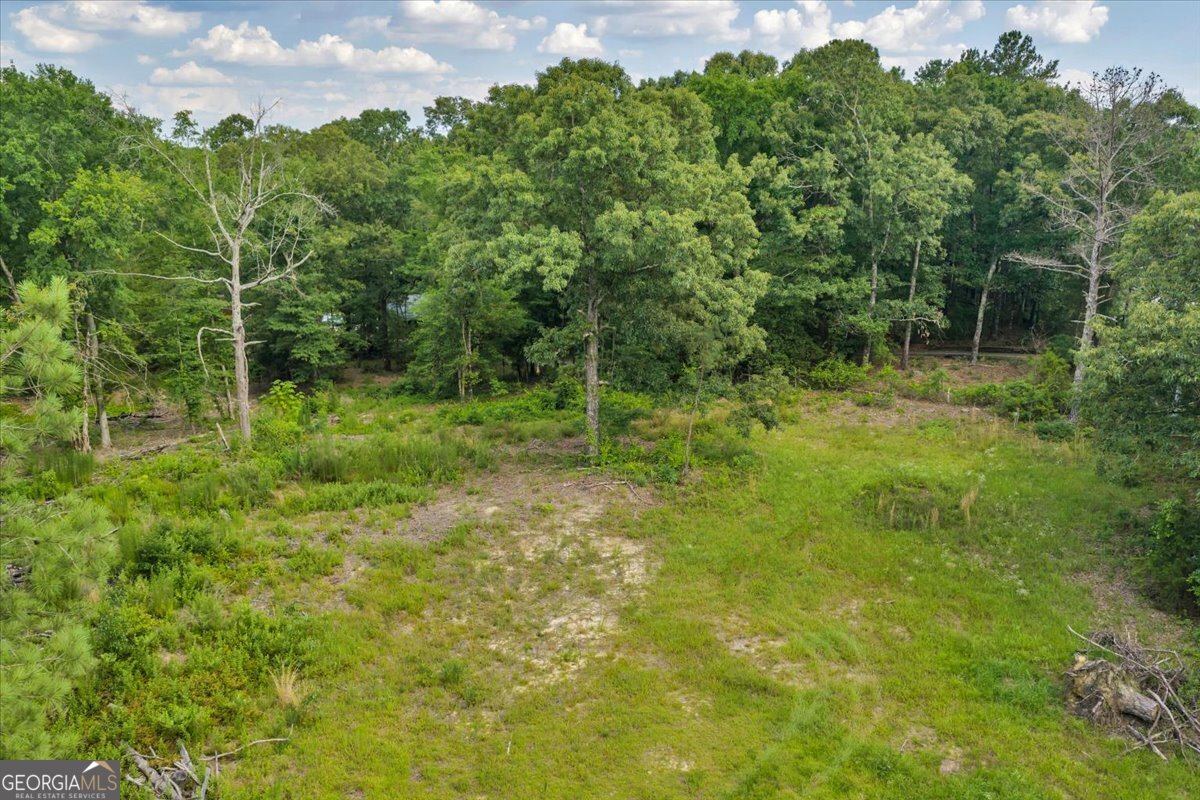 3826 Boy Scout Road Byron, GA 31008 - Photo 51 of 53