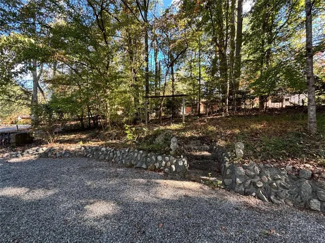 a view of dirt yard with a large tree
