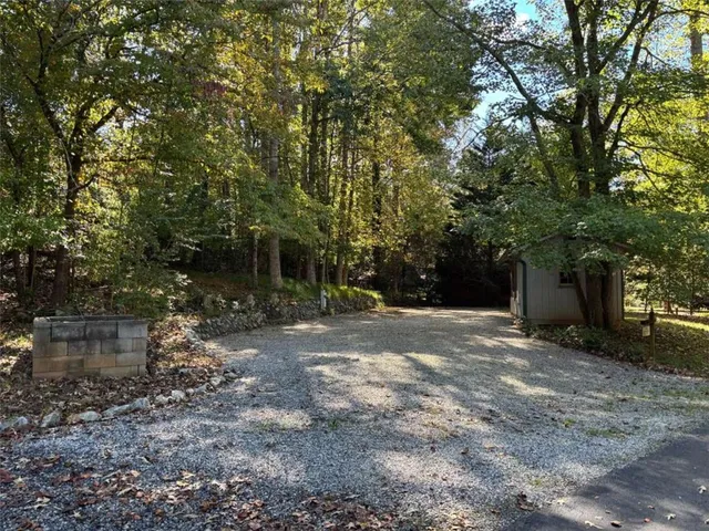 a view of a yard with plants and a large tree
