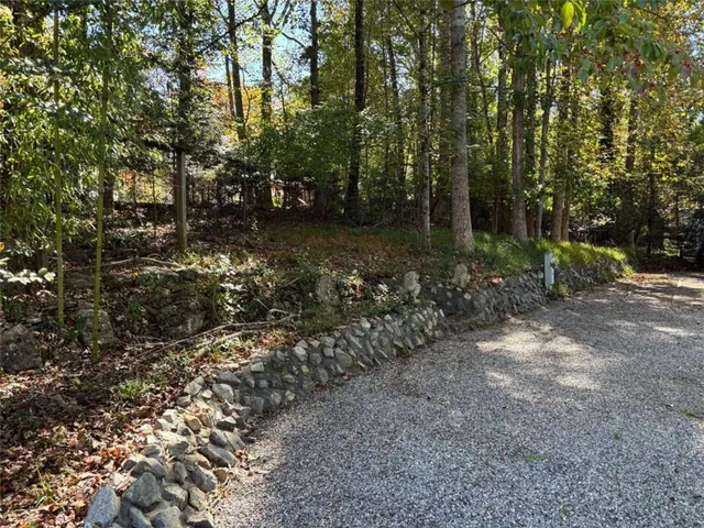 a view of a forest with trees