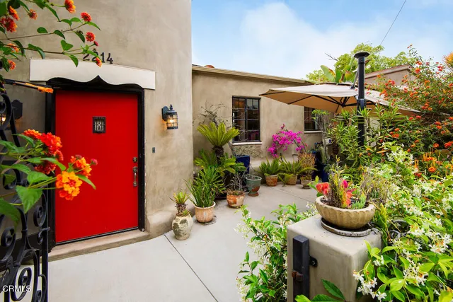 a potted plant sitting in front of a house