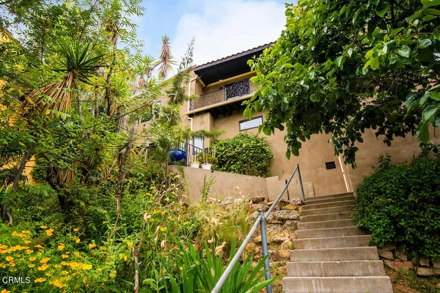 a view of a backyard