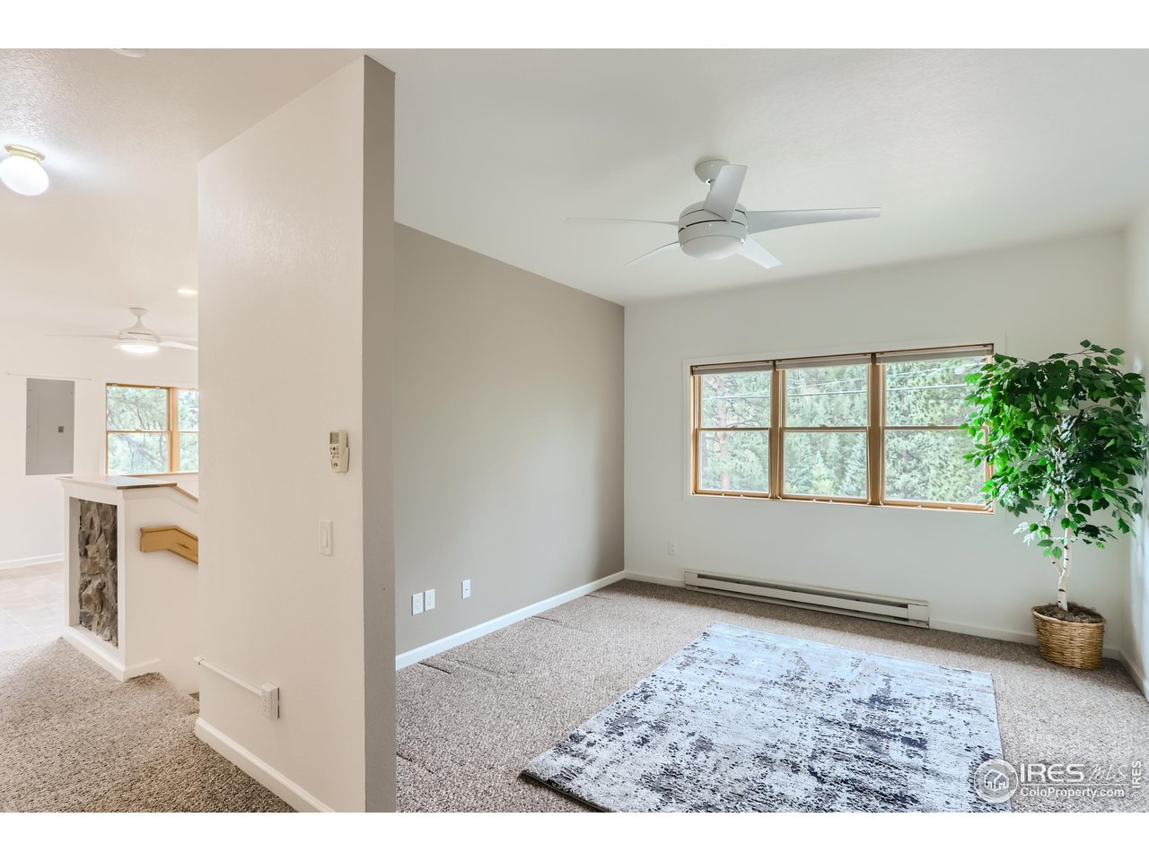 360 Riverside Drive Lyons, CO 80540 - Photo 4 of 22 Gallery Image 4
