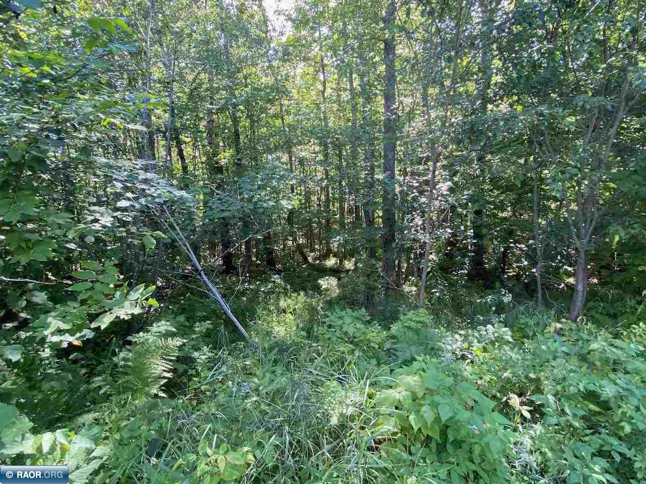 Tbd Lot 10 Wilderness Way Road Orr, MN 55771 - Photo 7 of 26 Gallery Image 7
