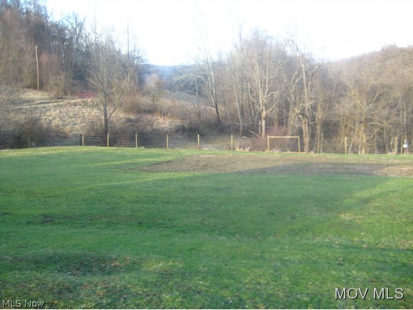 69 A Rt 18 Middlebourne, WV 26149 - Photo 7 of 10 Garden area