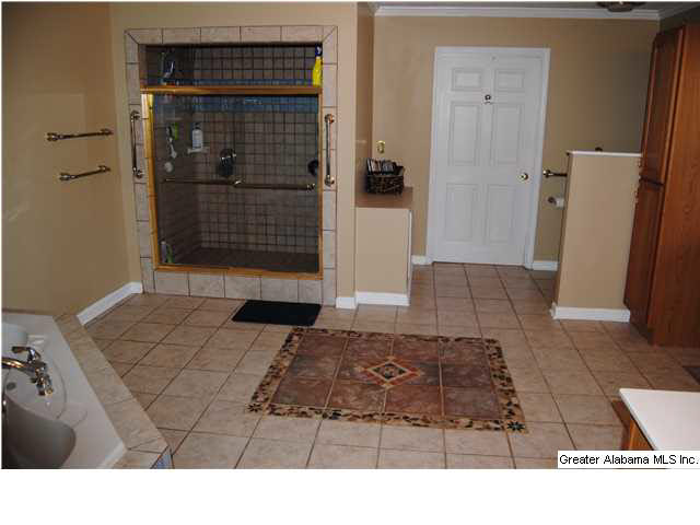 6405 Mays Bend Road Pell City, AL 35128 - Photo 13 of 21