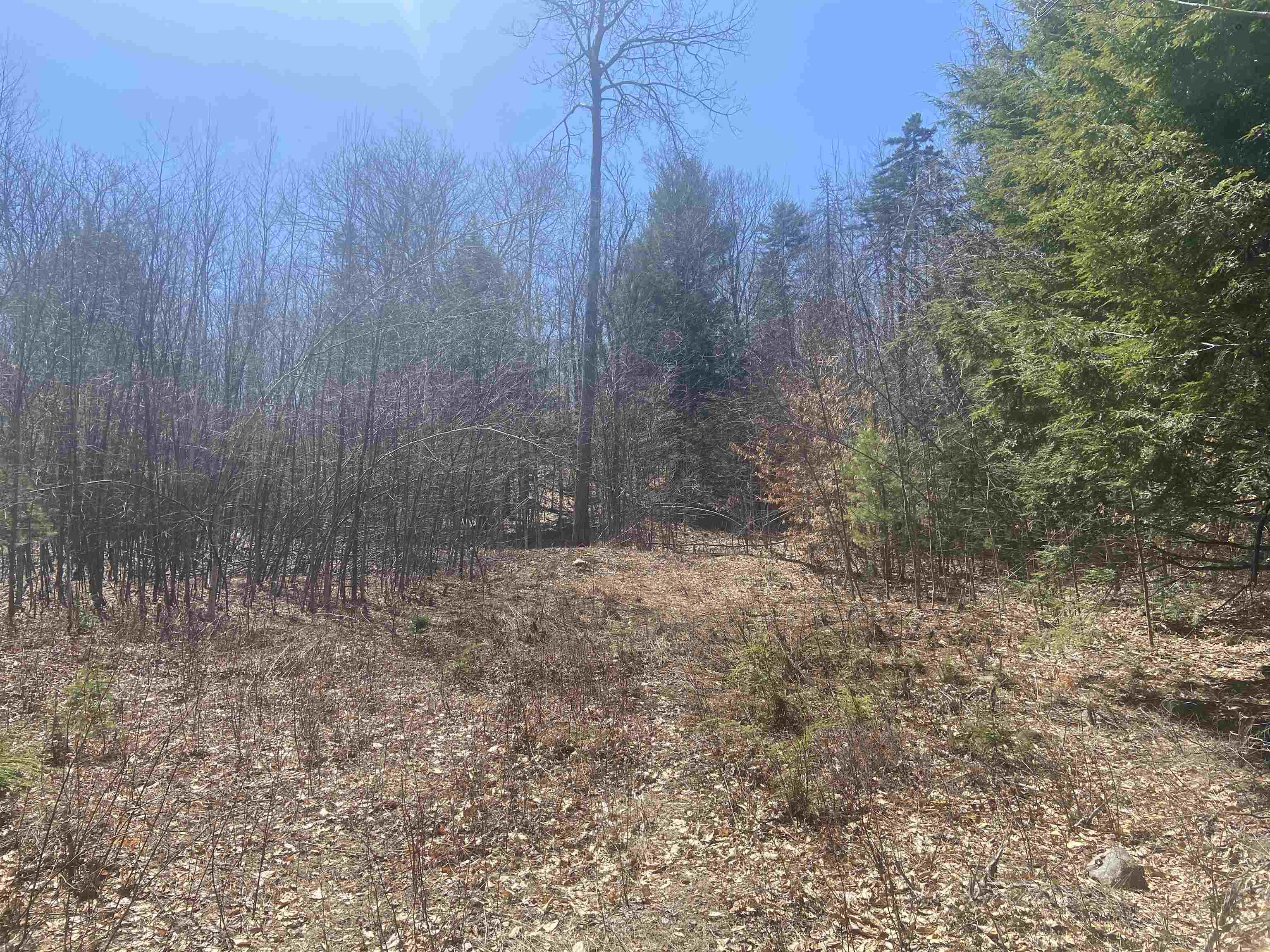 0 Teela Drive Sullivan, NH 03445 - Photo 5 of 8