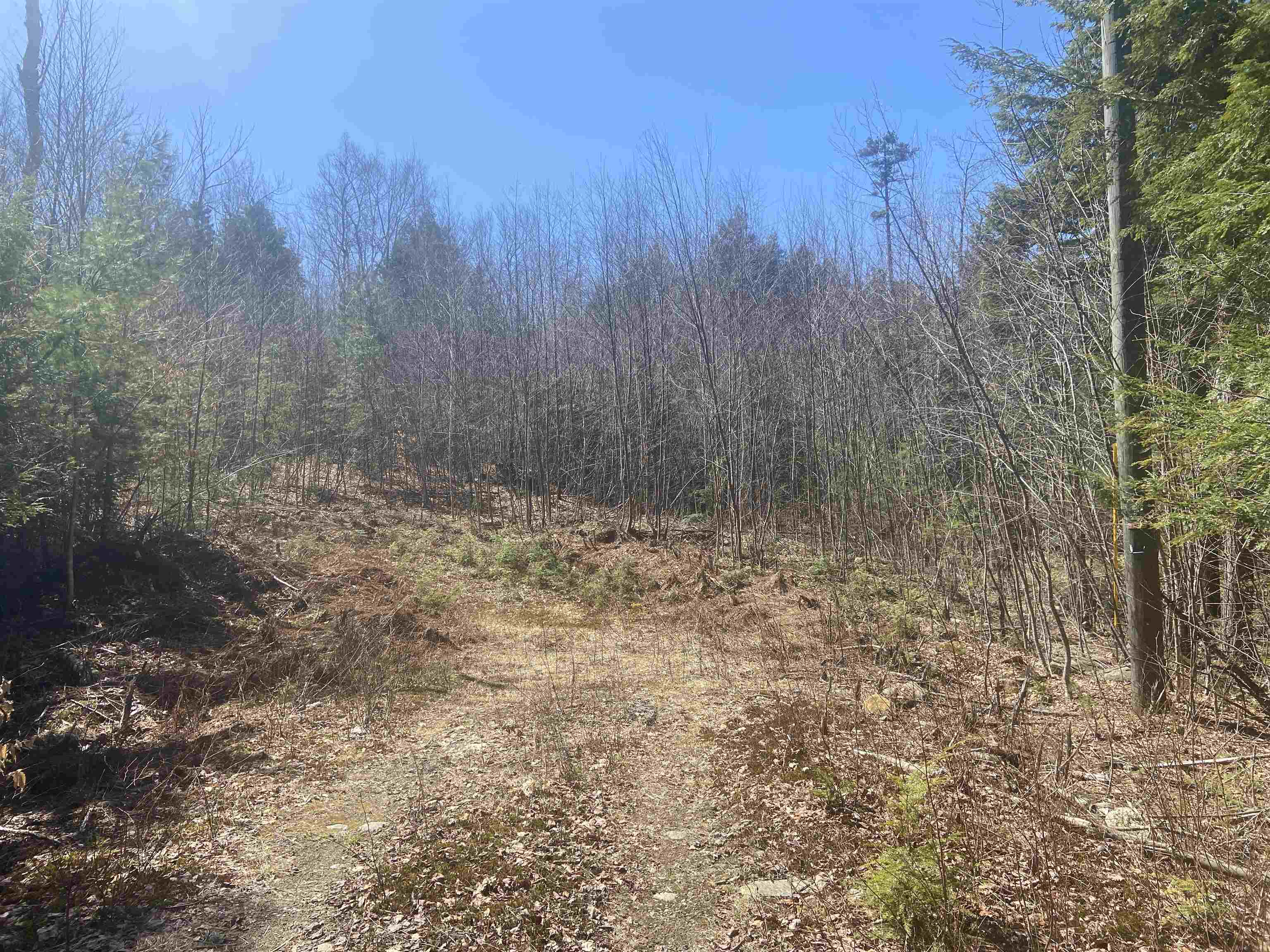 0 Teela Drive Sullivan, NH 03445 - Photo 6 of 8