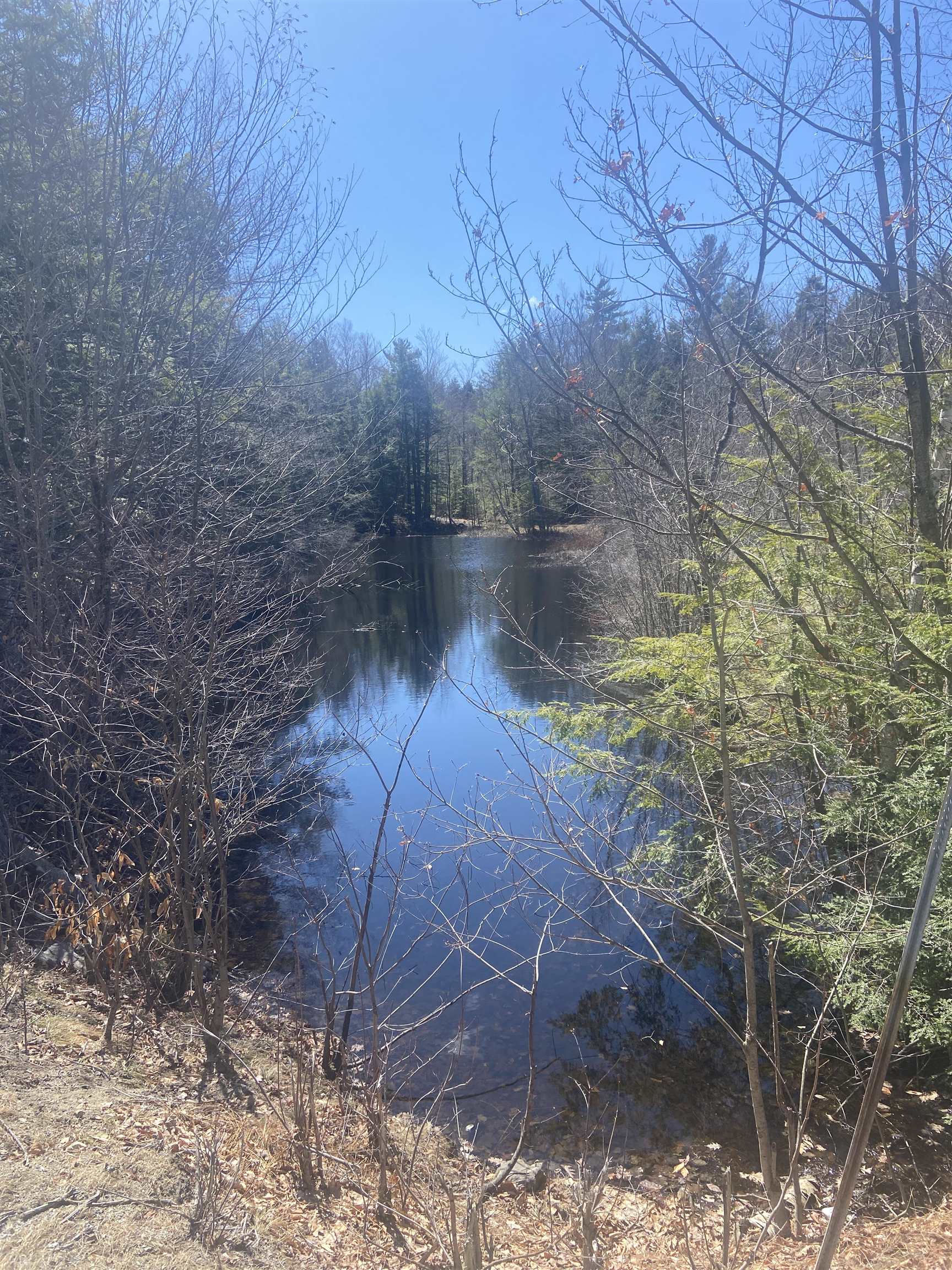 0 Teela Drive Sullivan, NH 03445 - Photo 7 of 8