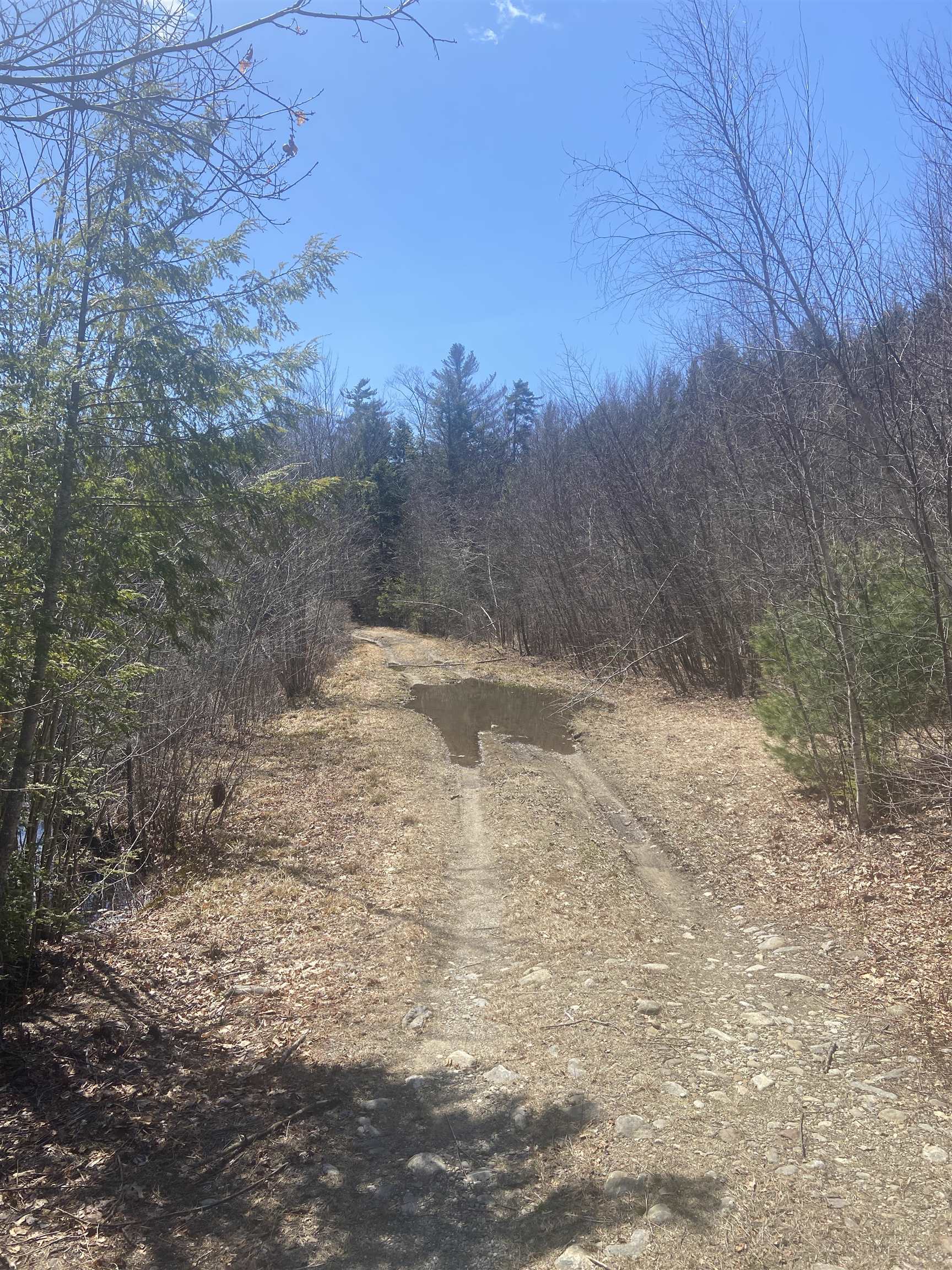 0 Teela Drive Sullivan, NH 03445 - Photo 8 of 8