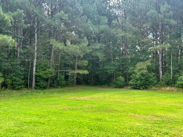 16461 Big Road Bloxom, VA 23308 - Photo 53 of 53 Gallery Image 53