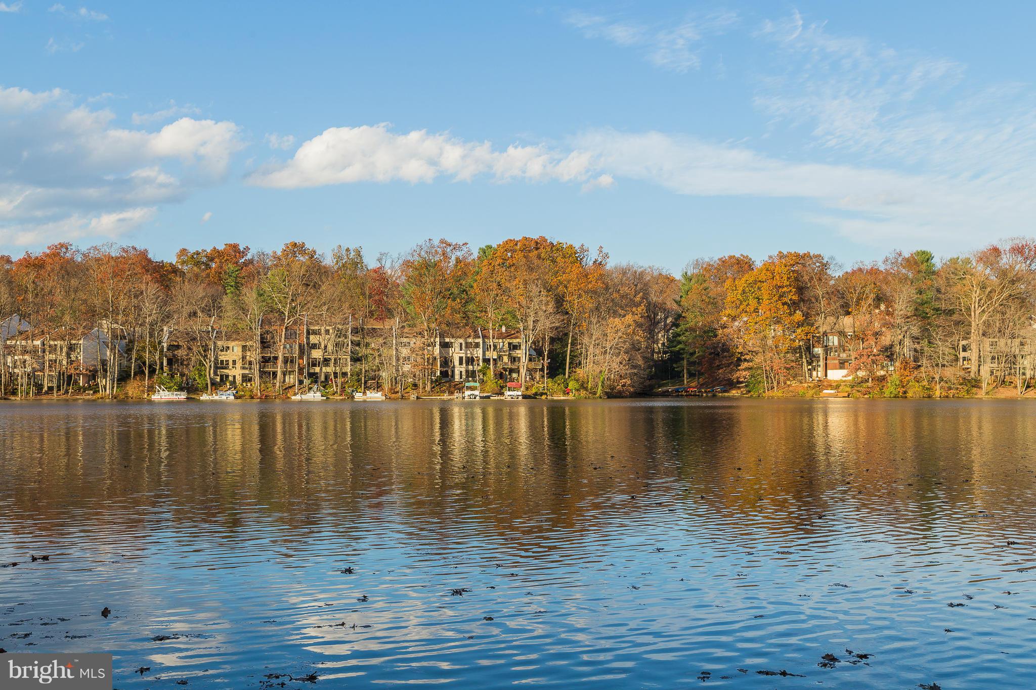 11308 South Shore Road Reston, VA 20190 - Photo 1 of 29 View
