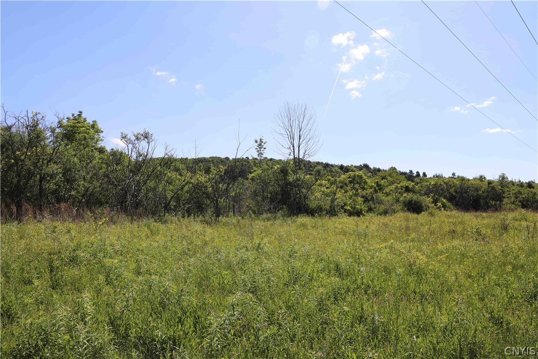 70-acres Cleveland Road Liverpool, NY 13088 - Photo 10 of 16 Gallery Image 10