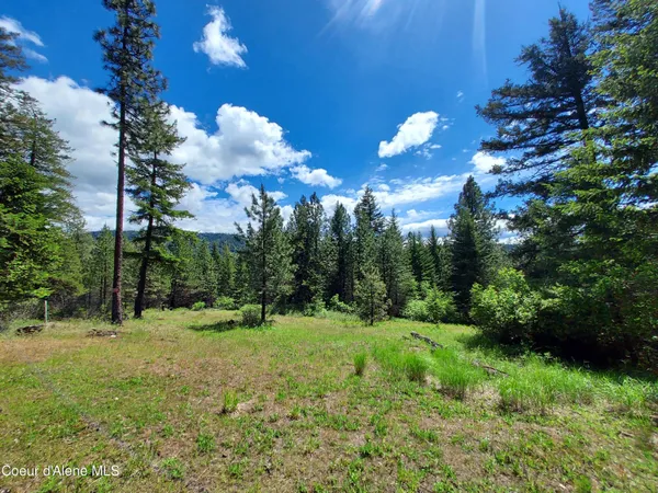 $350,000 | Nka East Canton Lane, Harrison, ID 83833