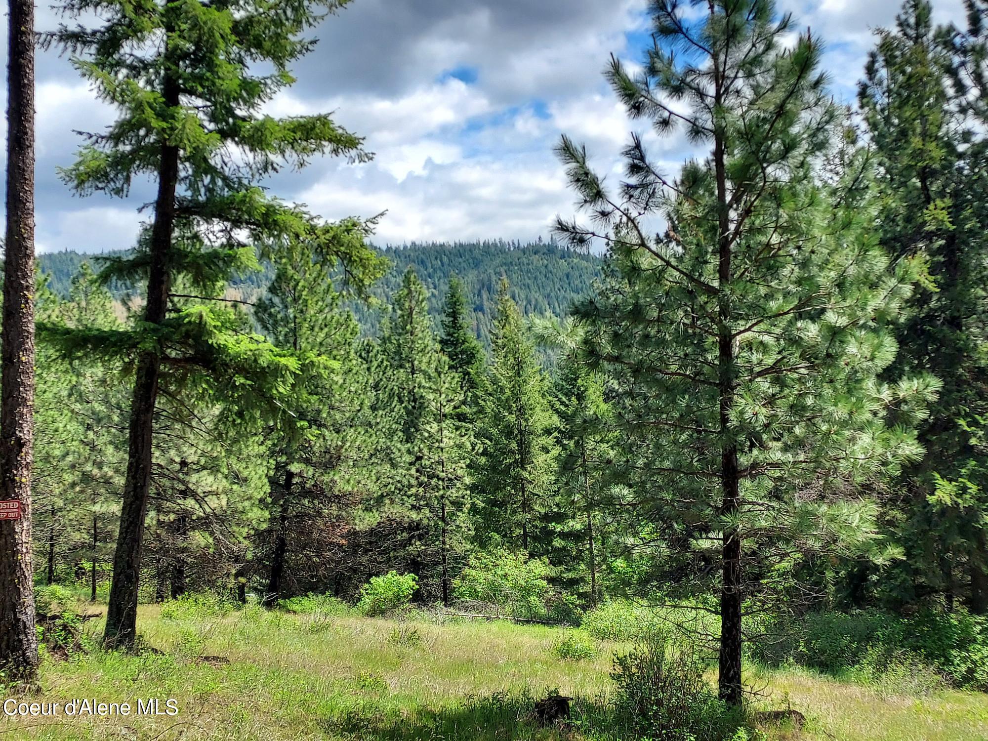 Nka East Canton Lane Harrison, ID 83833 - Photo 12 of 21 Mountain Views