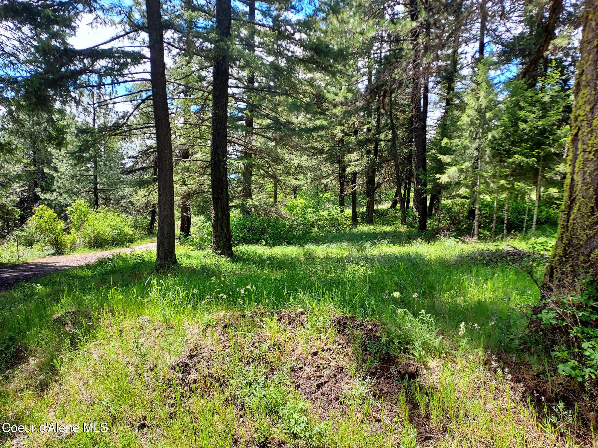 Nka East Canton Lane Harrison, ID 83833 - Photo 13 of 21 Parked Out Setting