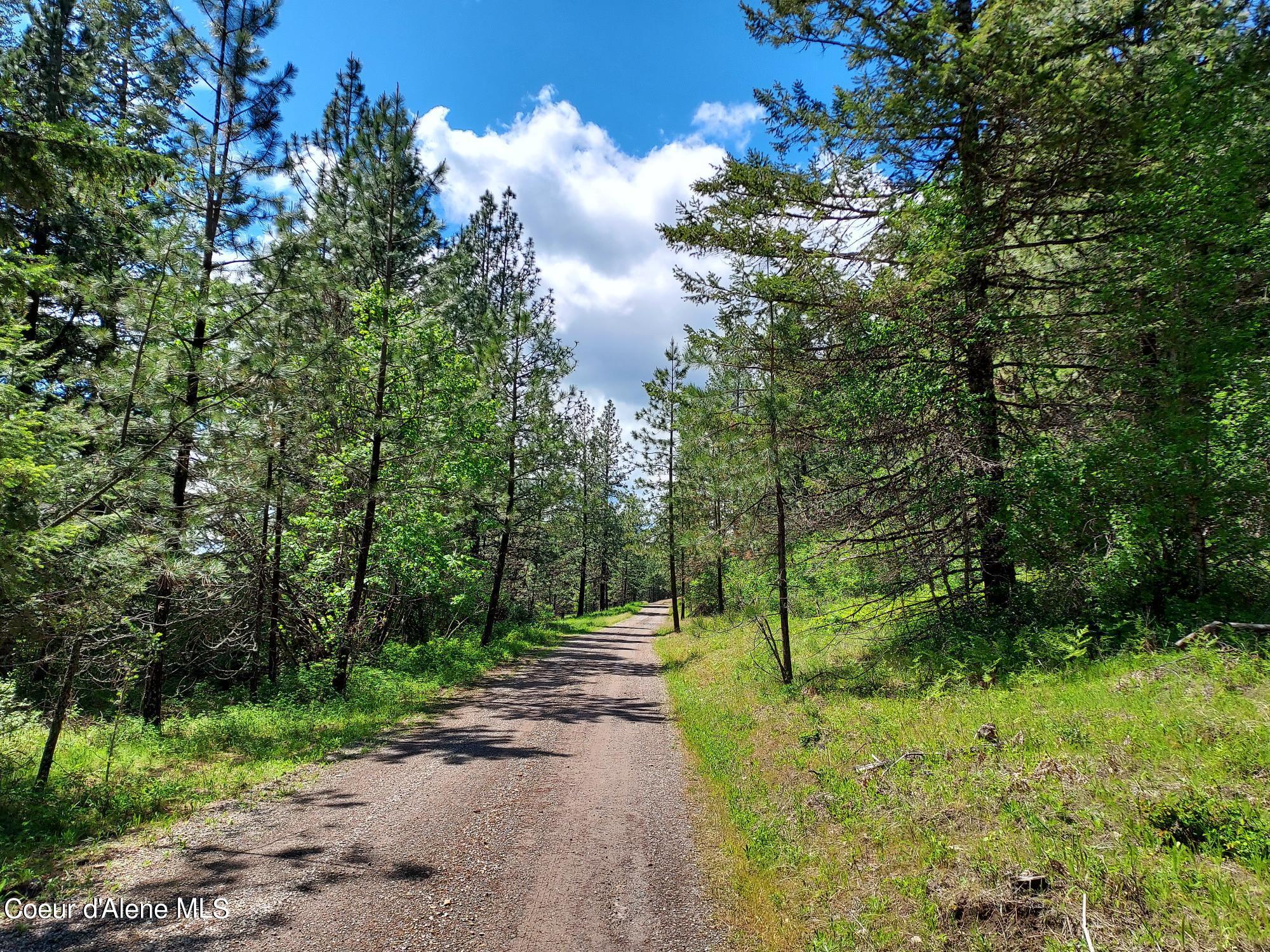 Nka East Canton Lane Harrison, ID 83833 - Photo 14 of 21 Property2