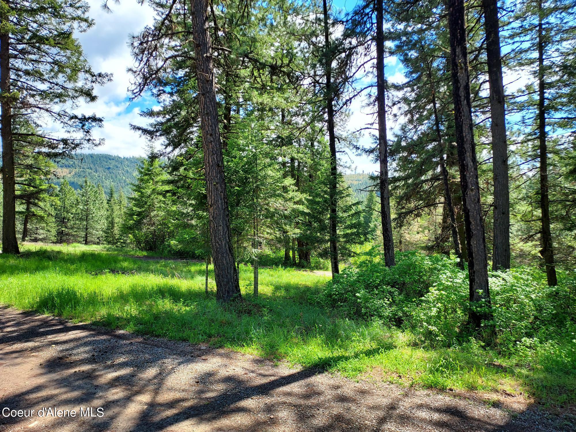 Nka East Canton Lane Harrison, ID 83833 - Photo 15 of 21 Property3