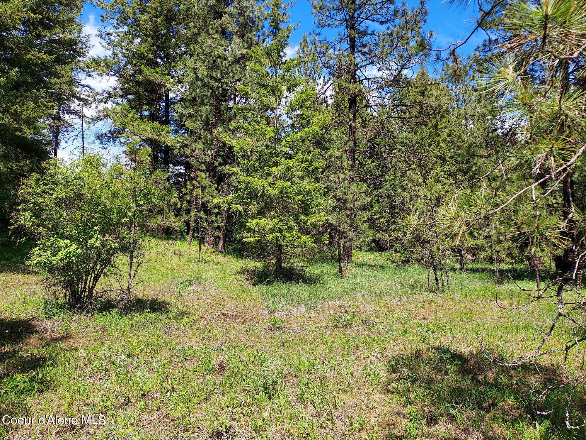 Nka East Canton Lane Harrison, ID 83833 - Photo 17 of 21 Property5