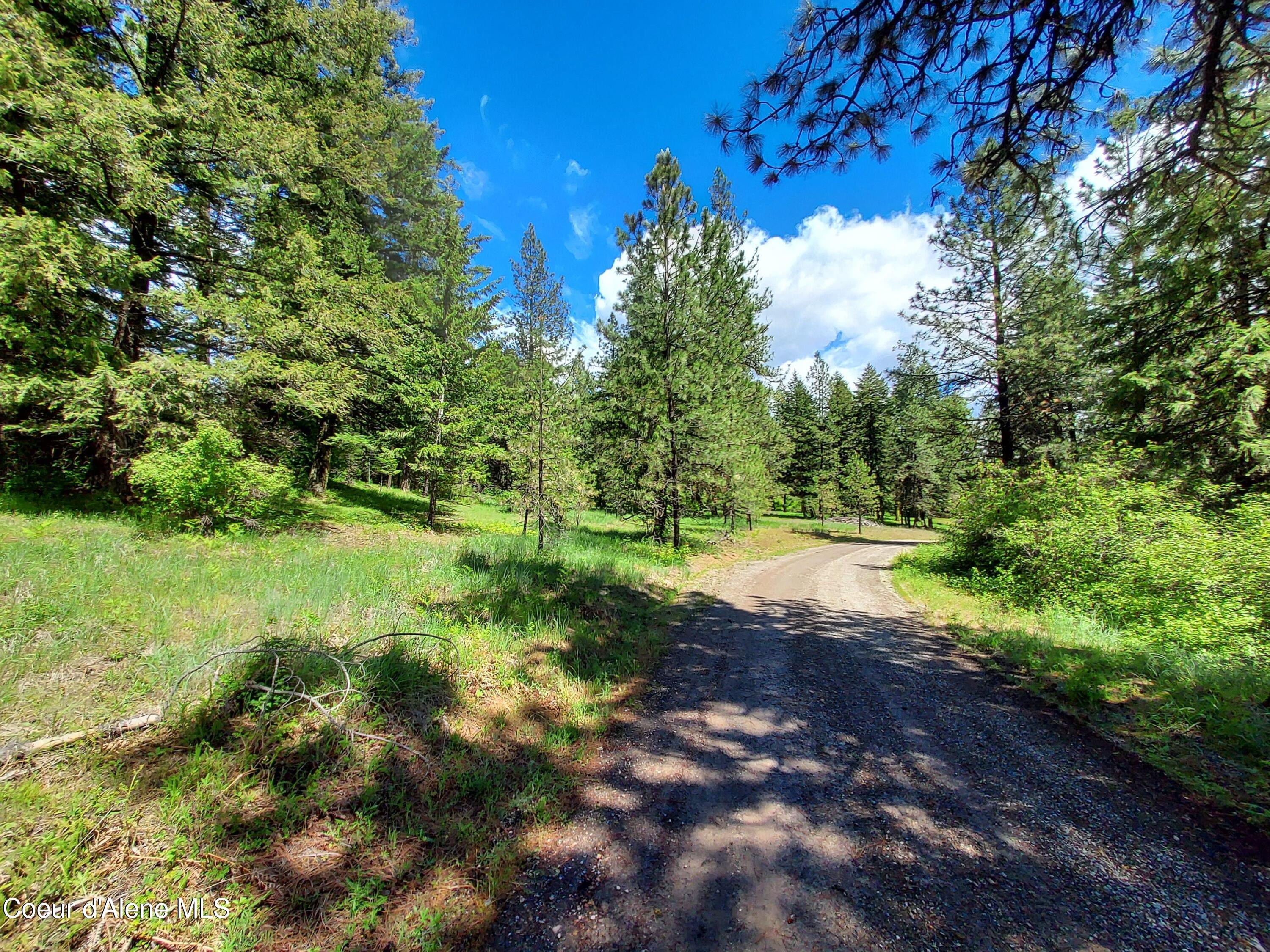 Nka East Canton Lane Harrison, ID 83833 - Photo 18 of 21 Property6