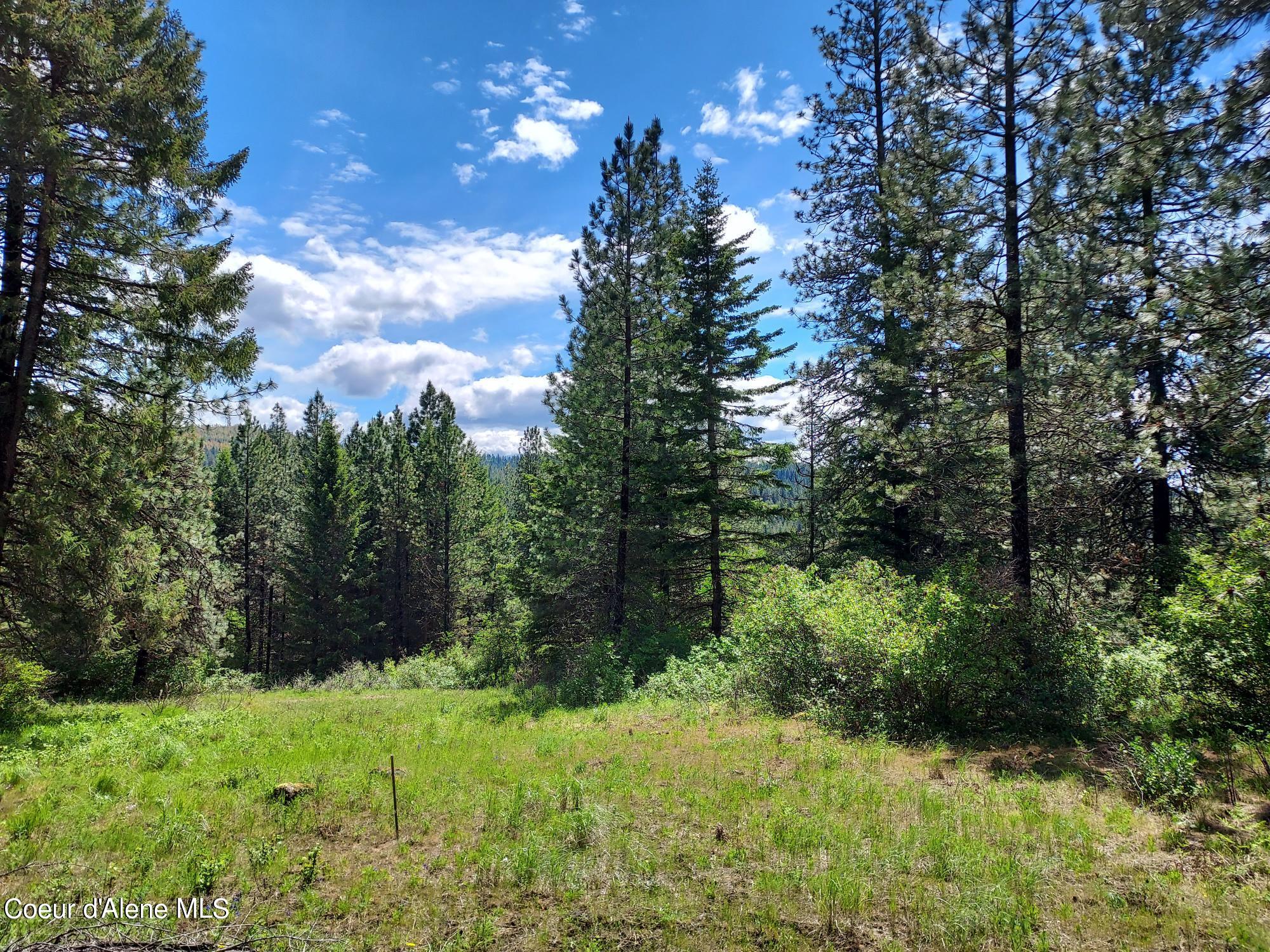 Nka East Canton Lane Harrison, ID 83833 - Photo 19 of 21 Property7