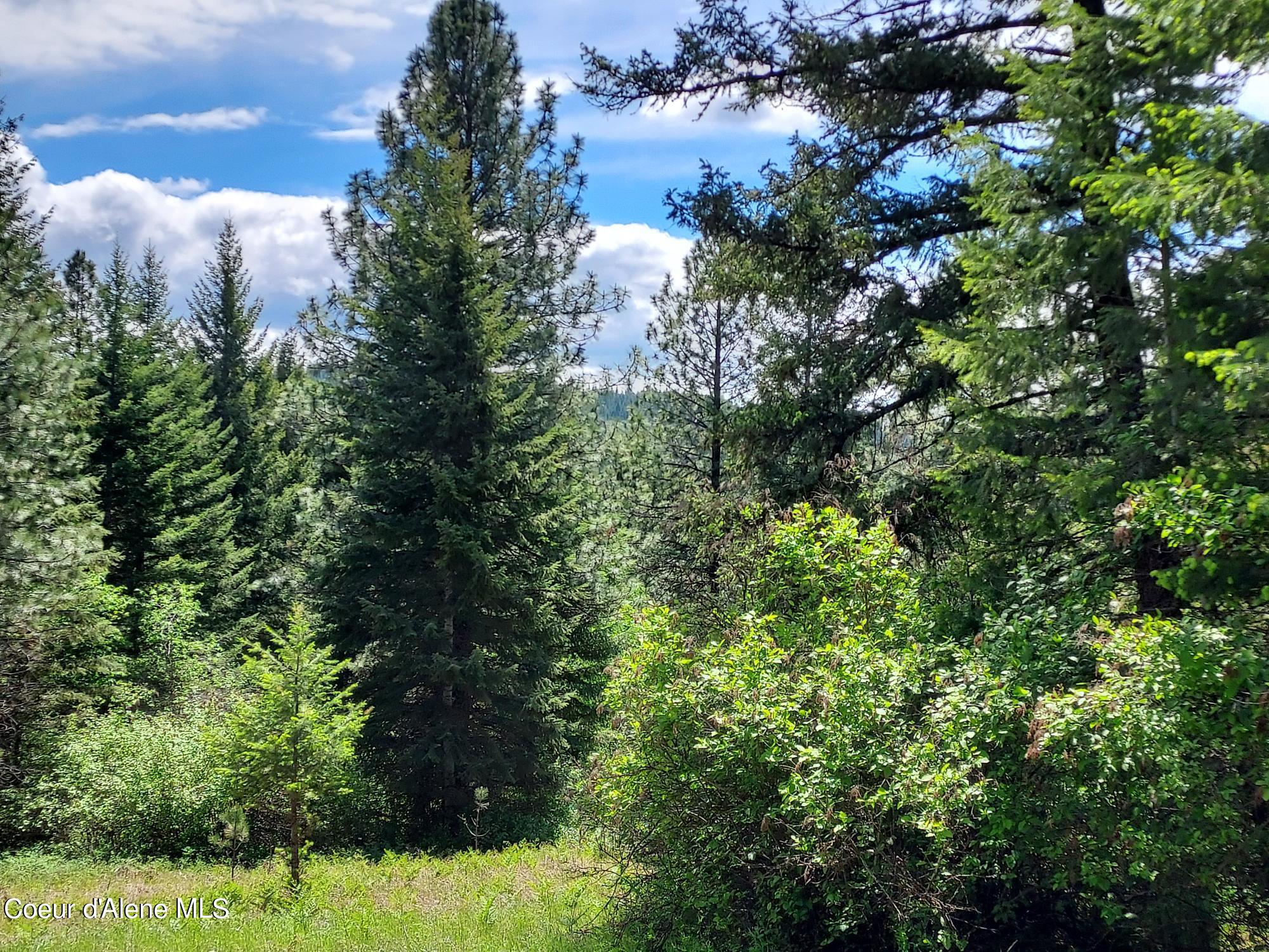 Nka East Canton Lane Harrison, ID 83833 - Photo 21 of 21 Views2