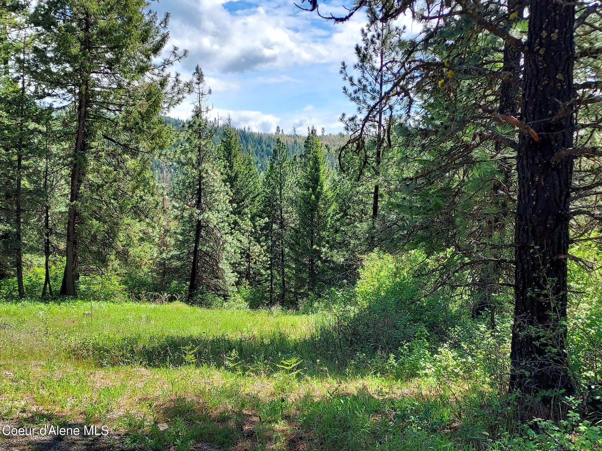 Nka East Canton Lane Harrison, ID 83833 - Photo 3 of 21 Views3