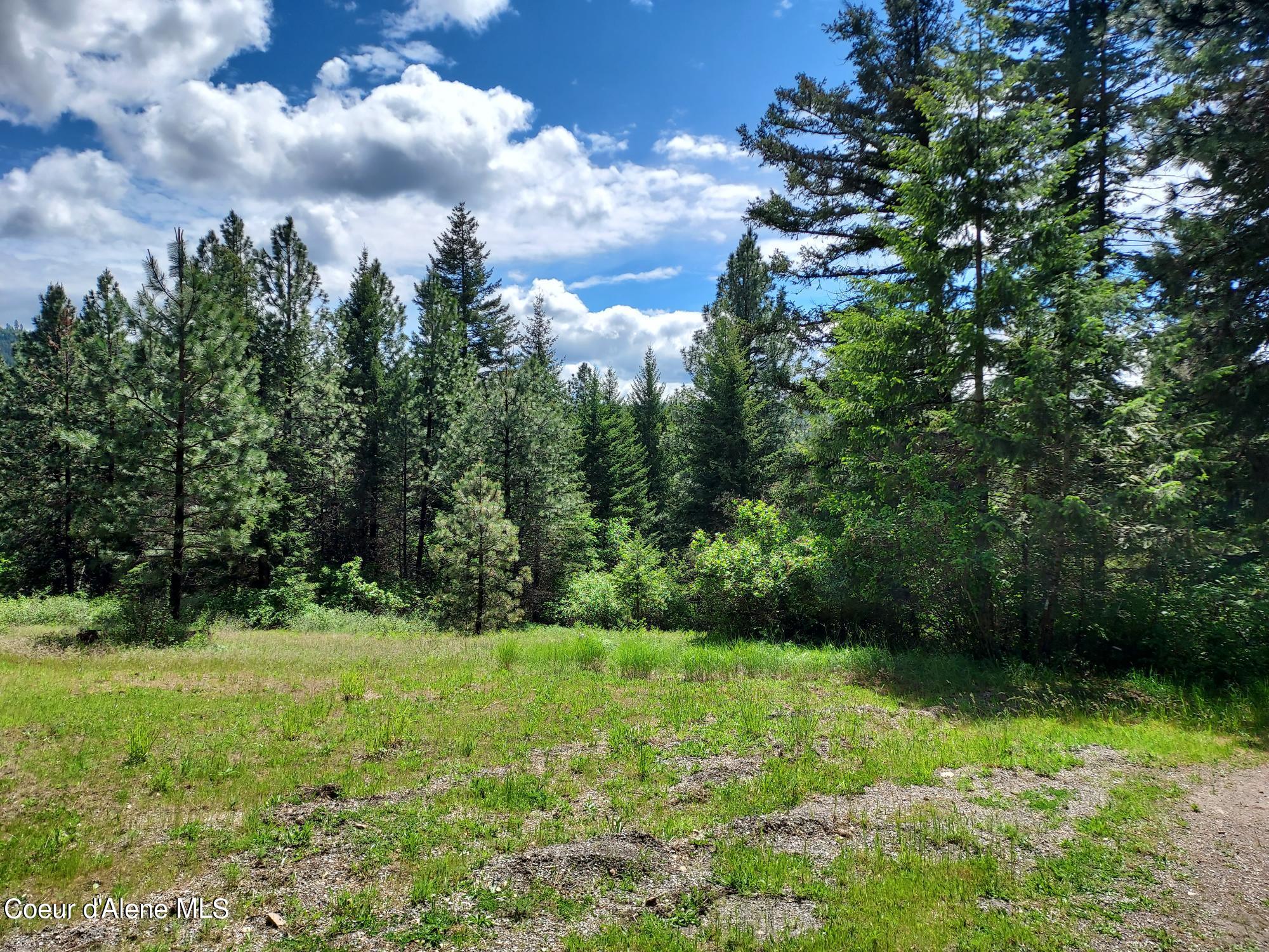 Nka East Canton Lane Harrison, ID 83833 - Photo 4 of 21 Open Area