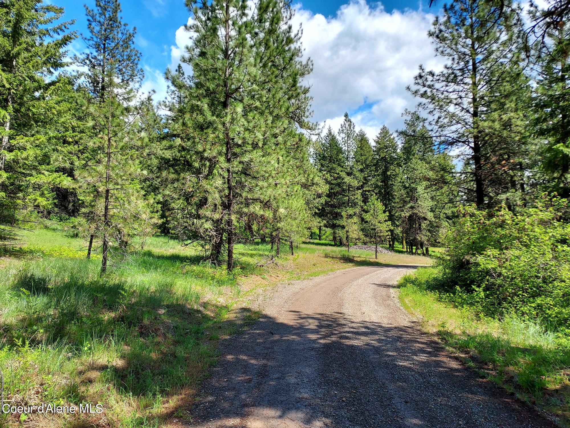 Nka East Canton Lane Harrison, ID 83833 - Photo 5 of 21 Property1