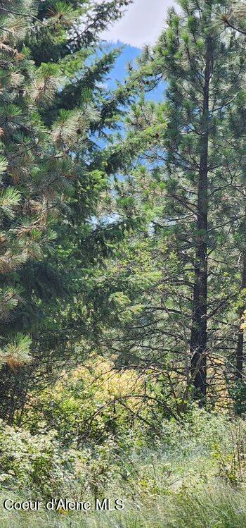 Nka East Canton Lane Harrison, ID 83833 - Photo 9 of 21 Lake CDA