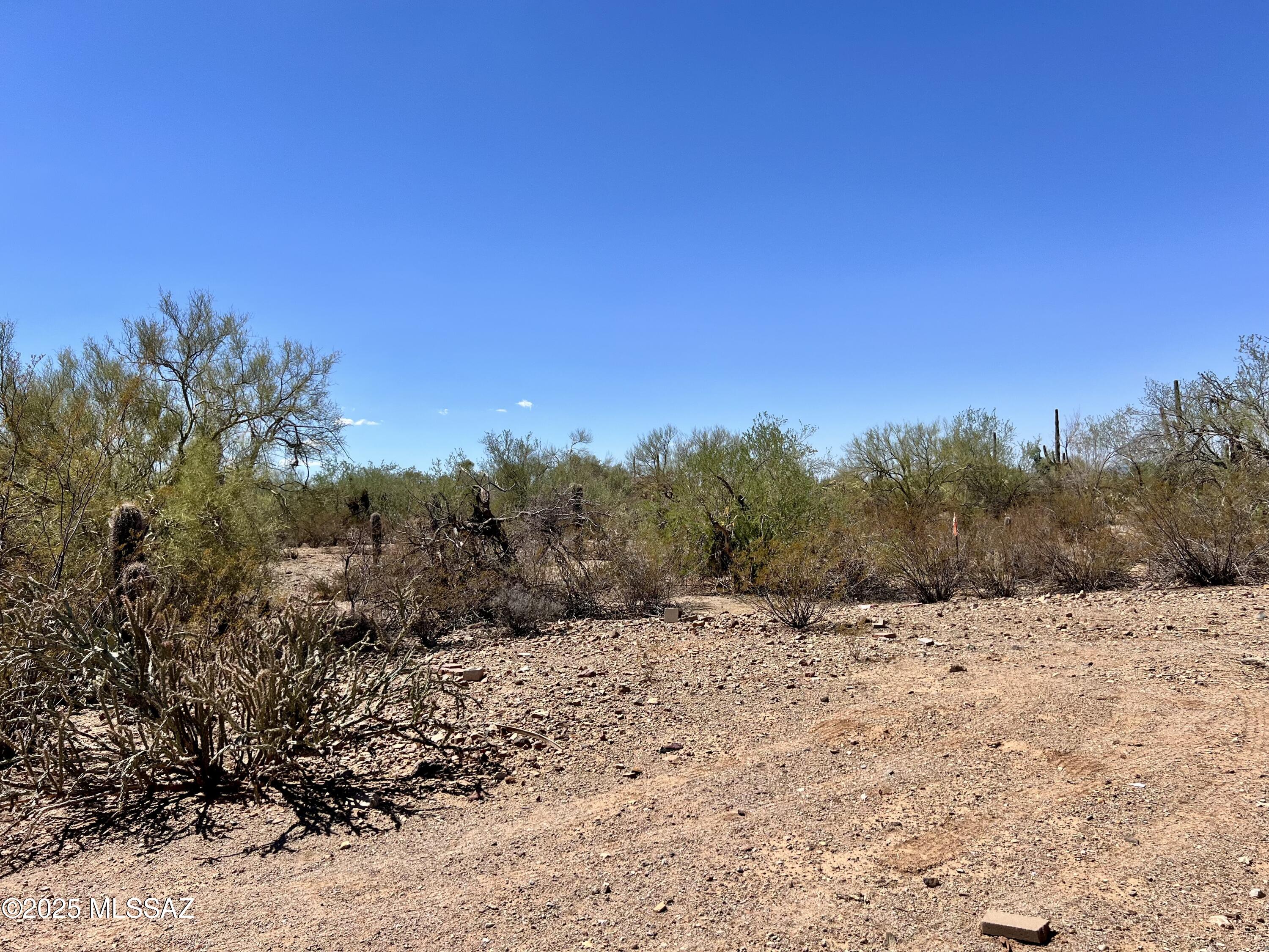 10426 West Massingale Road, Unit 11 Tucson, AZ 85743 - Photo 9 of 12