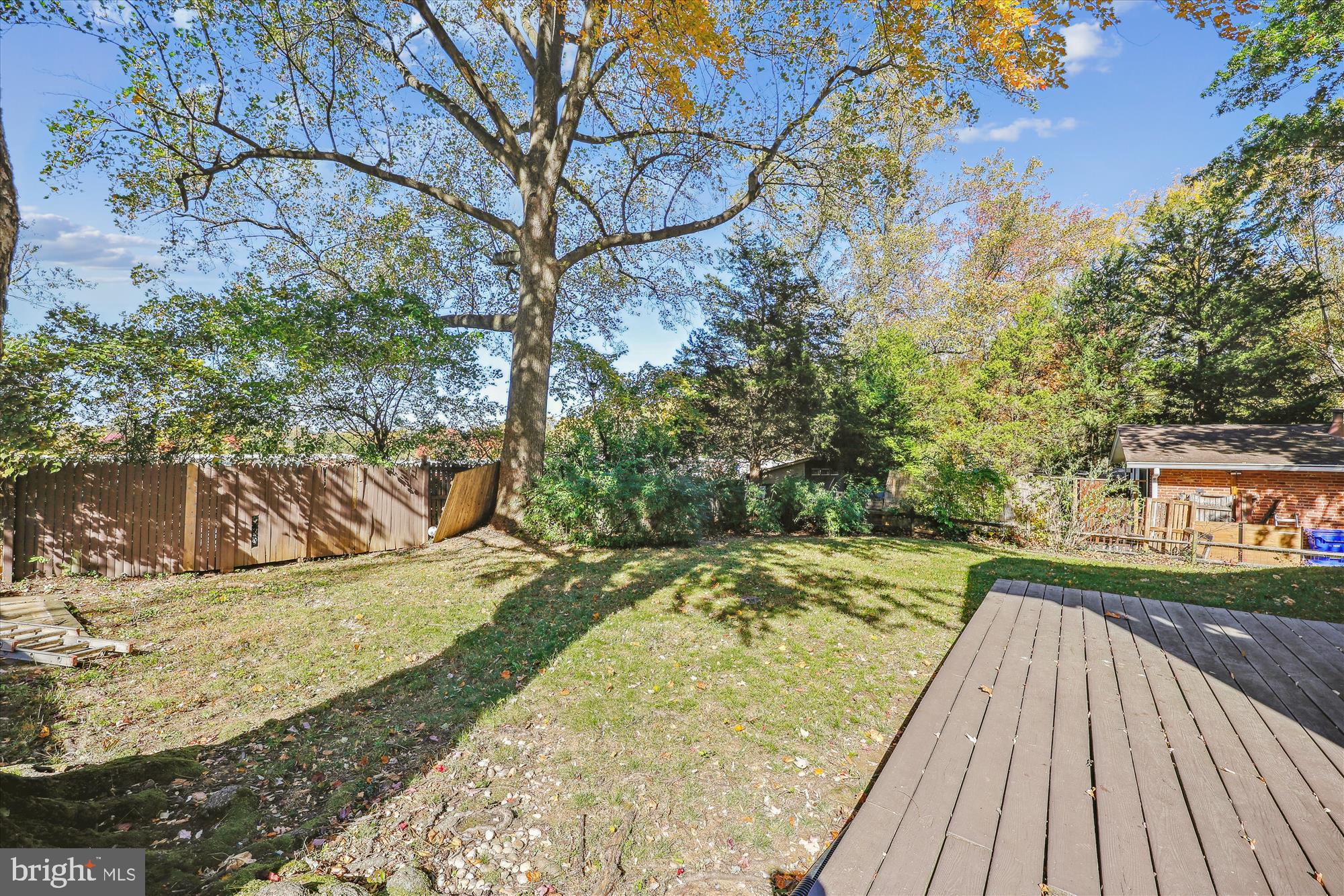 3311 Pendleton Drive Silver Spring, MD 20902 - Photo 12 of 65 Back Yard