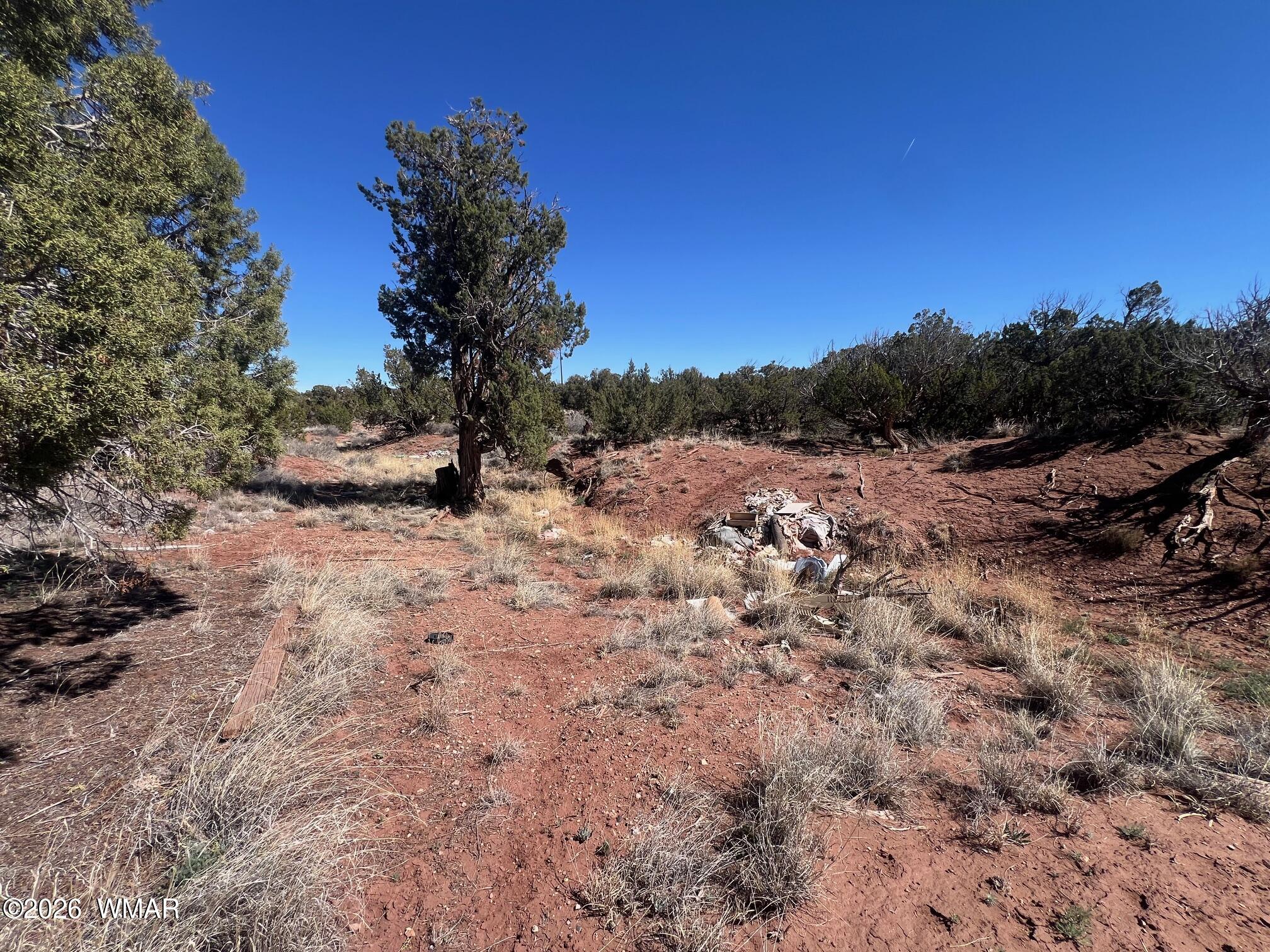 4252 Colt Road Snowflake, AZ 85937 - Photo 6 of 28