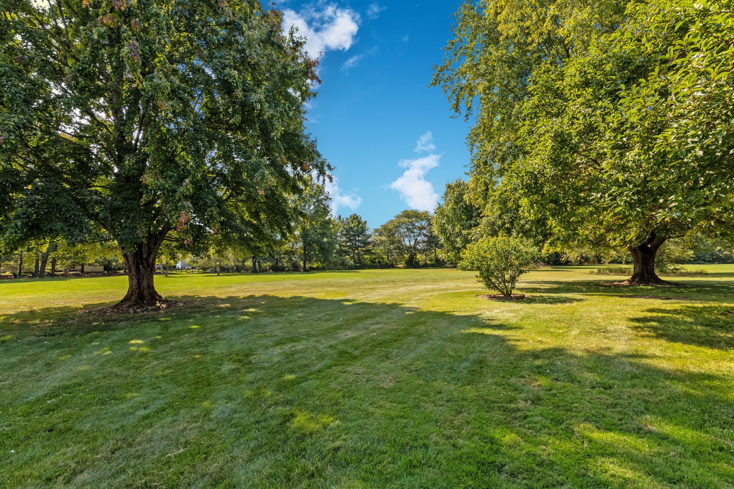 5764 Cheshire Road Galena, OH 43021 - Photo 49 of 59 49. Yard