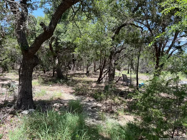a view of outdoor space with trees