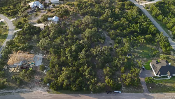 a view of a dry yard with trees