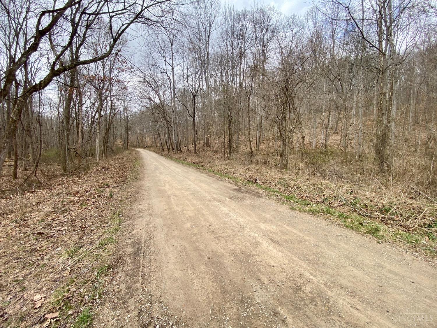 Ac Beech Fork Road Peebles, OH 45660 - Photo 8 of 49