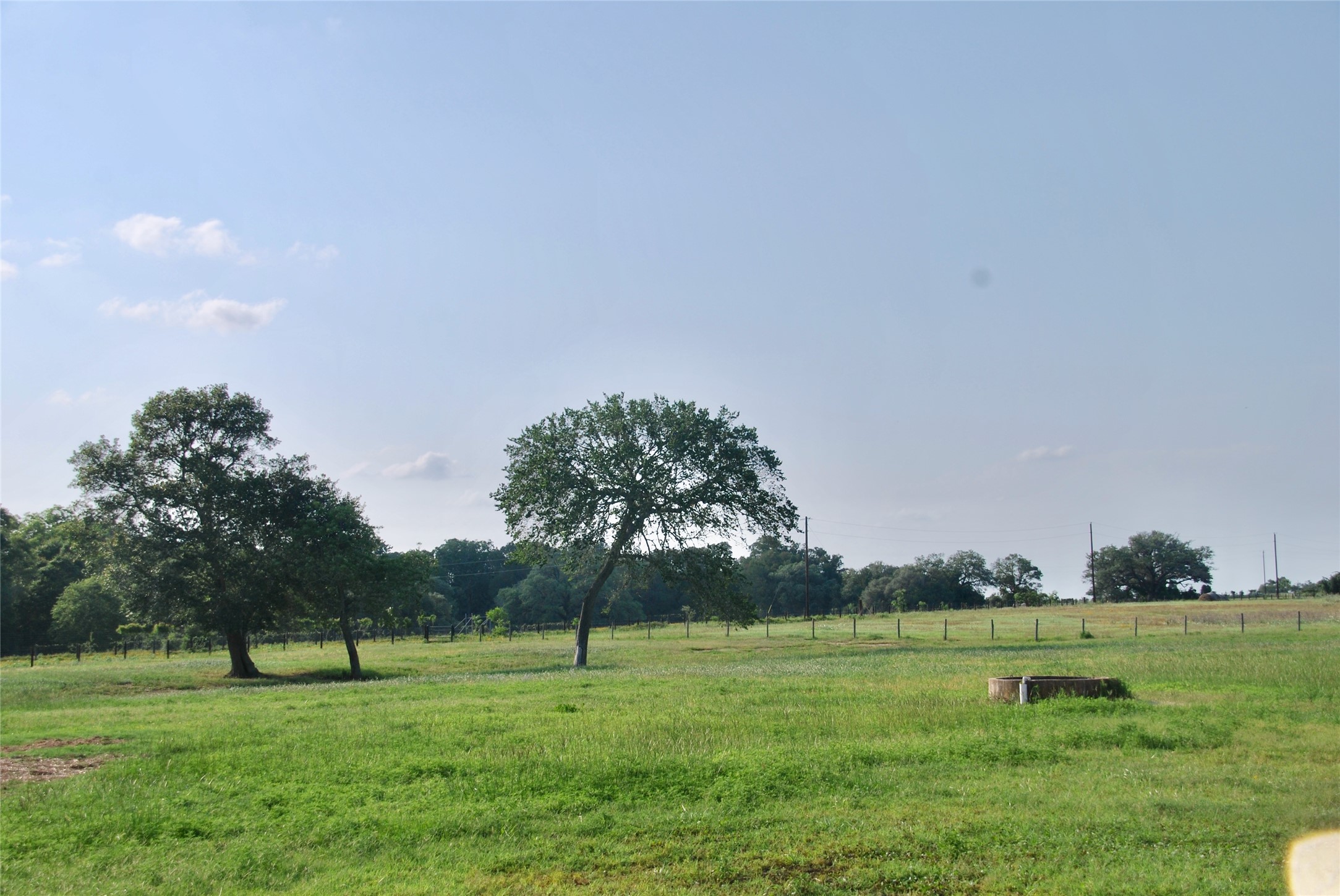 3545 East I- 10 Frontage Road Schulenburg, TX 78956 - Photo 37 of 40 a view of outdoor space with garden and trees