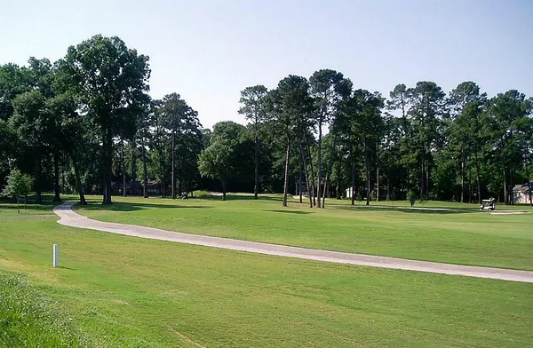 $1,700 | 16020 Fountainview Drive, Unit 17, Montgomery, TX 77356