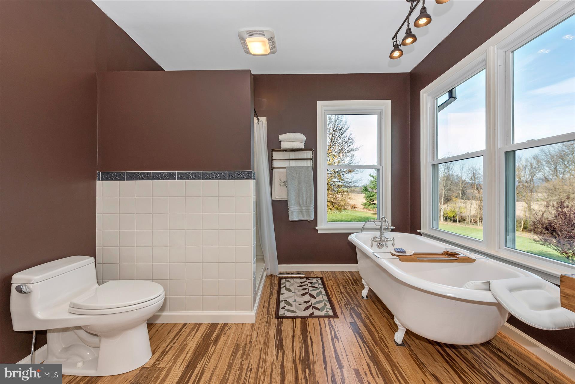 8731 Mt Tabor Road Middletown, MD 21769 - Photo 33 of 88