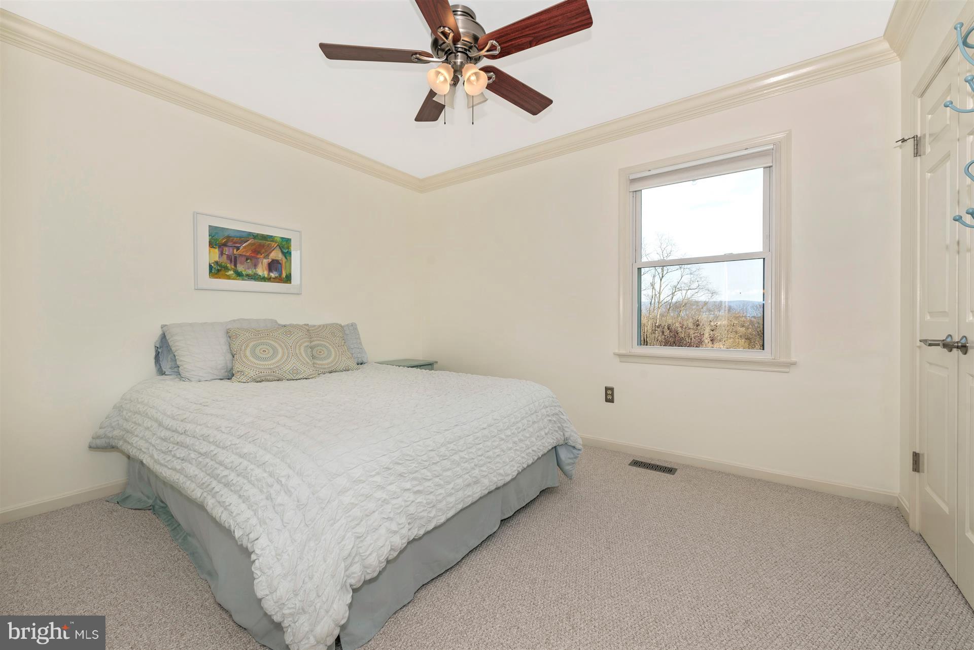 8731 Mt Tabor Road Middletown, MD 21769 - Photo 40 of 88