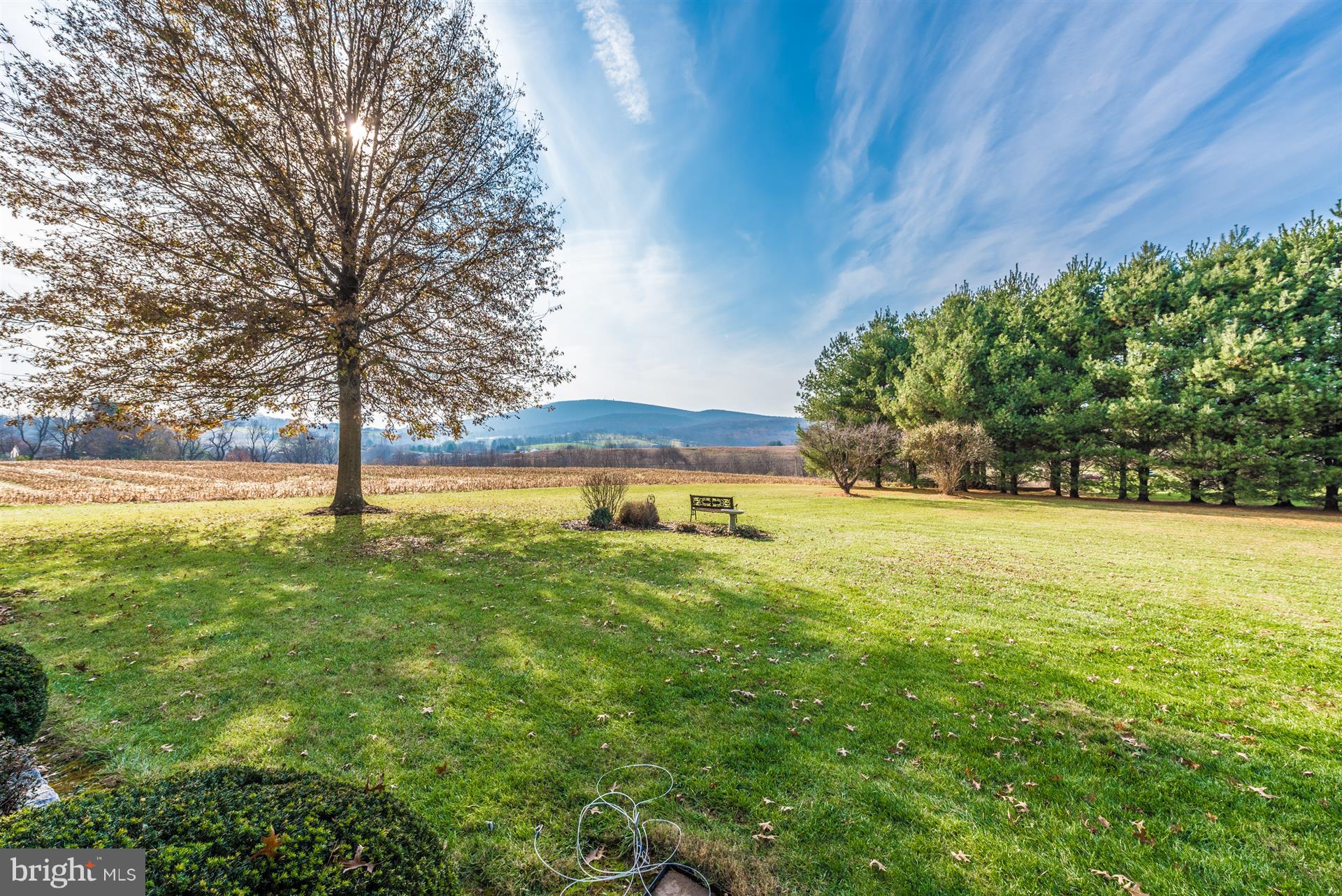 8731 Mt Tabor Road Middletown, MD 21769 - Photo 49 of 88