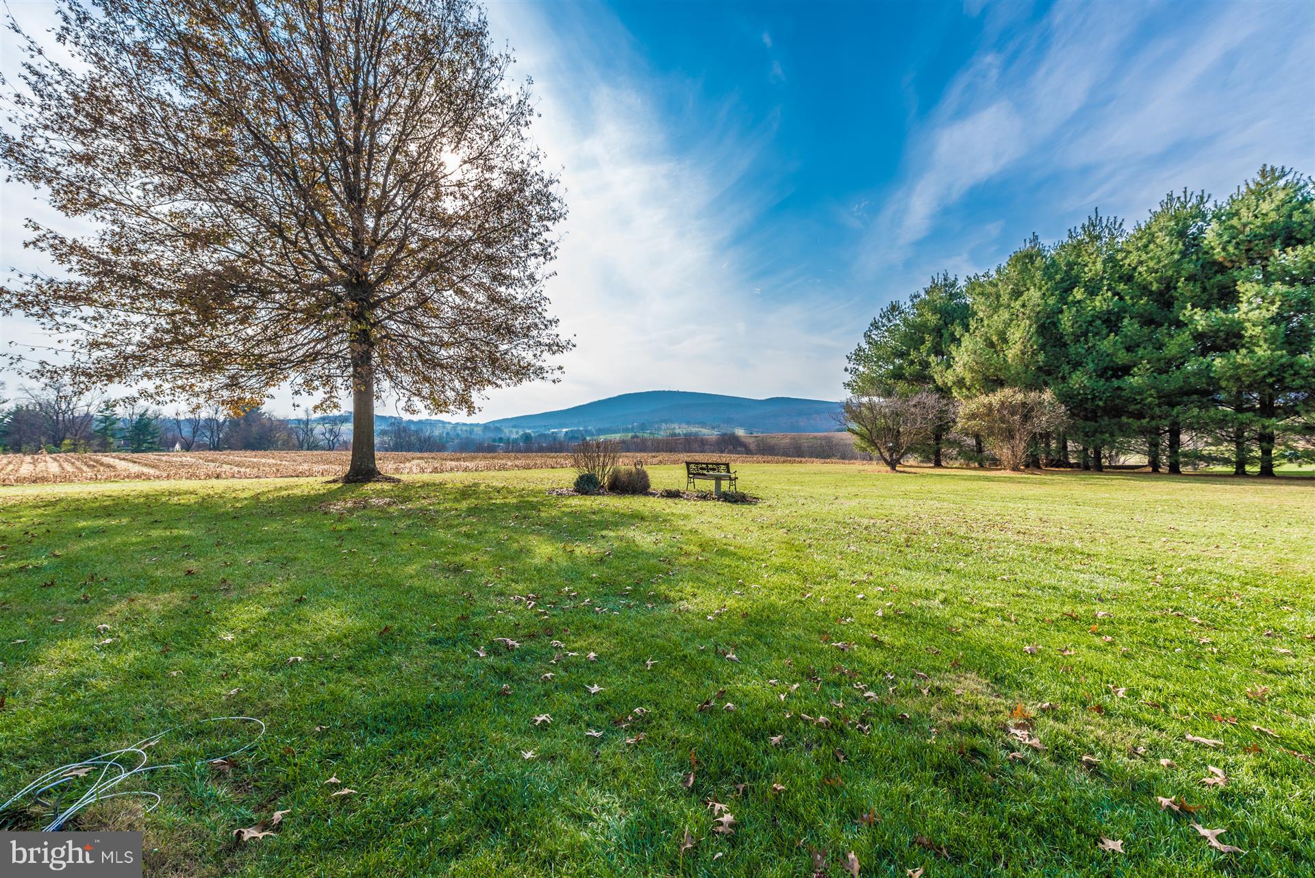8731 Mt Tabor Road Middletown, MD 21769 - Photo 55 of 88