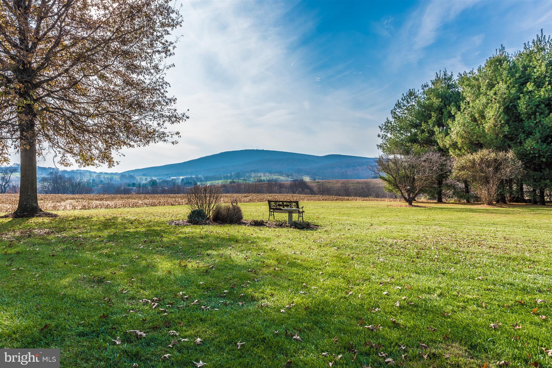 8731 Mt Tabor Road Middletown, MD 21769 - Photo 56 of 88
