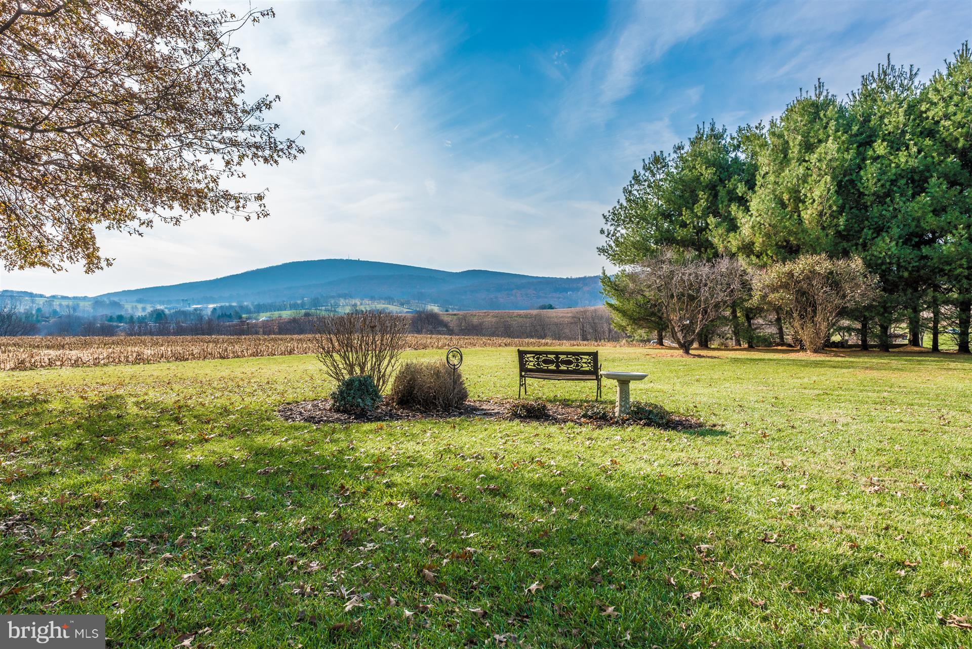 8731 Mt Tabor Road Middletown, MD 21769 - Photo 57 of 88