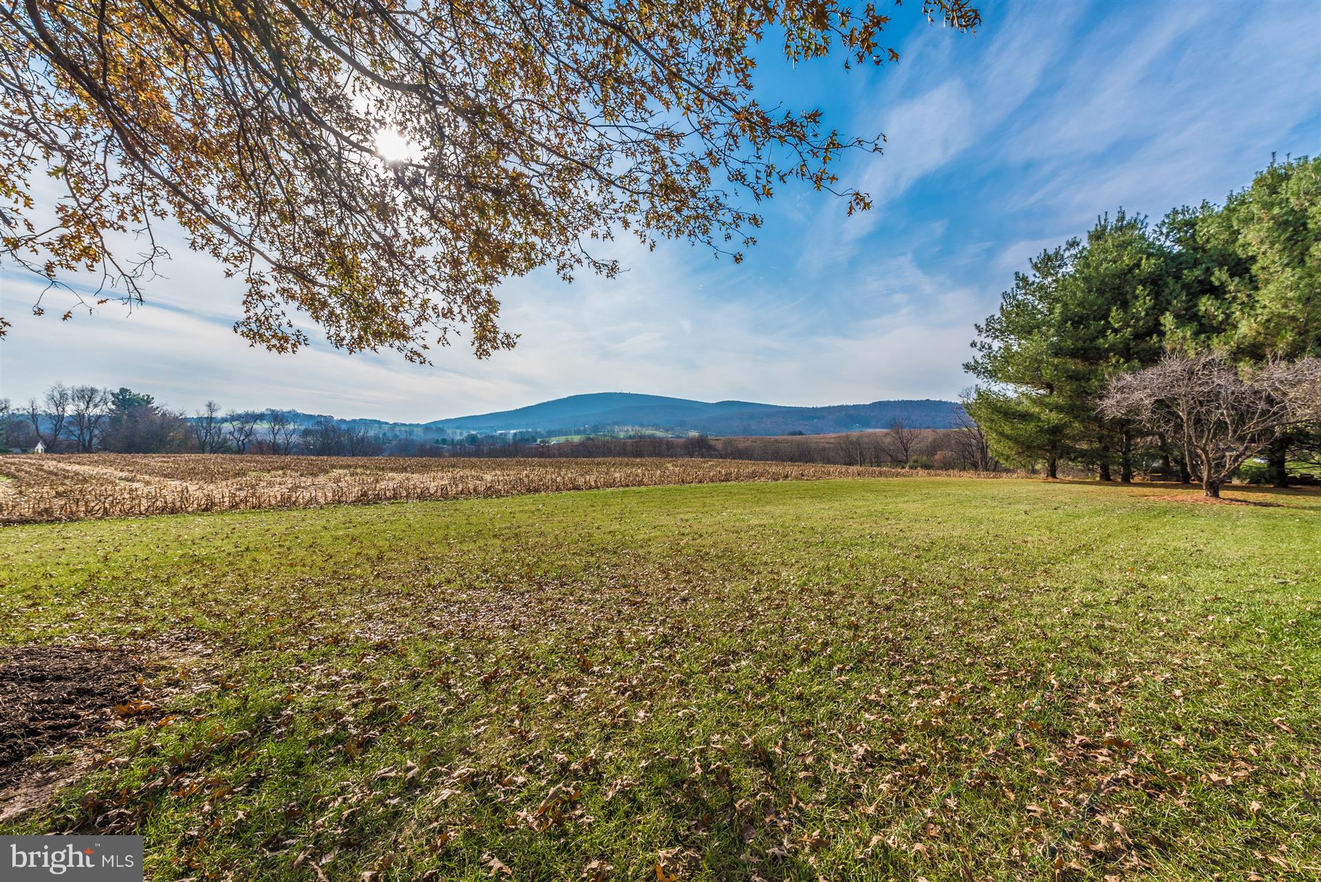 8731 Mt Tabor Road Middletown, MD 21769 - Photo 58 of 88